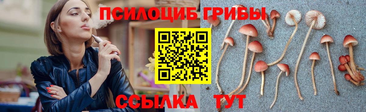 Галлюциногенные грибы Psilocybine cubensis Петровск
